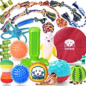 Dog Toys for Teething
