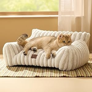 Bedsure Cute Couch for Pets