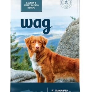 Wag Dry Dog Food Salmon