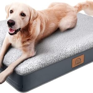 Orthopedic Dog Bed for Large Dogs