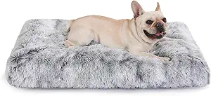 Bed With Removable Washable Cover